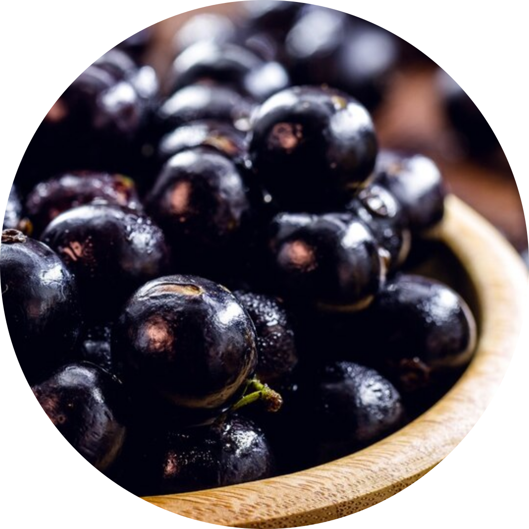 Jabuticaba Fresca