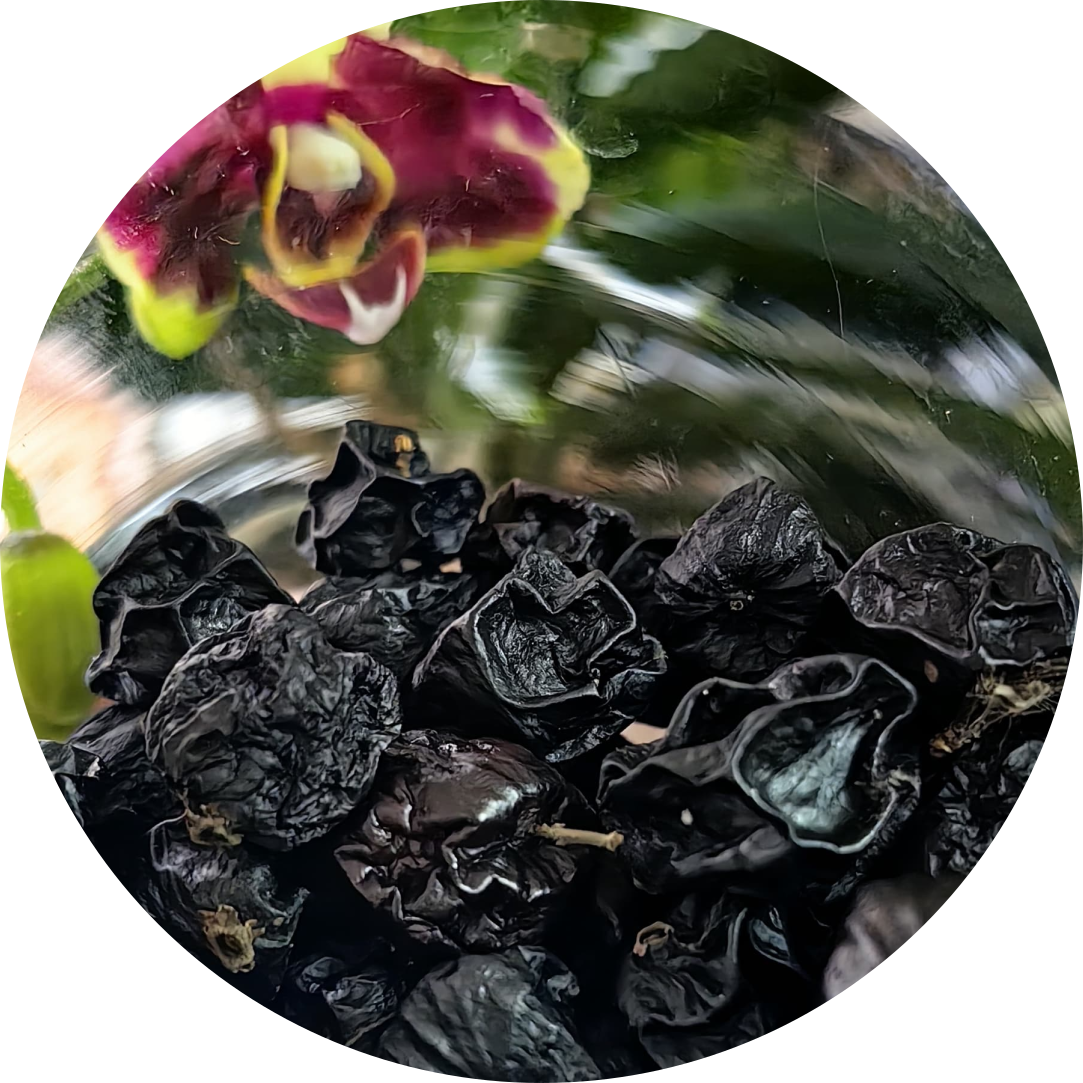 Jabuticaba Deshidratada